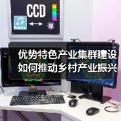 优势特色产业集群建设如何推动乡村产业振兴?(图3) 优势特色产业集群建设如何推动乡村产业振兴?(图3)