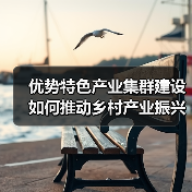 优势特色产业集群建设如何推动乡村产业振兴?(图4) 优势特色产业集群建设如何推动乡村产业振兴?(图4)