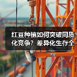 红豆种植如何突破同质化竞争?差异化生存全攻略(图2) 红豆种植如何突破同质化竞争?差异化生存全攻略(图2)
