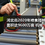 河北省2020年粮食播种面积达9600万亩 机械化率超83%如何保障丰收(图3) 河北省2020年粮食播种面积达9600万亩 机械化率超83%如何保障丰收(图3)