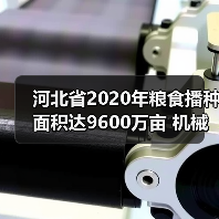 河北省2020年粮食播种面积达9600万亩 机械化率超83%如何保障丰收(图4) 河北省2020年粮食播种面积达9600万亩 机械化率超83%如何保障丰收(图4)