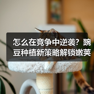 怎么在竞争中逆袭？豌豆种植新策略解锁嫩荚盈利蓝海