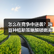 怎么在竞争中逆袭?豌豆种植新策略解锁嫩荚盈利蓝海(图4) 怎么在竞争中逆袭?豌豆种植新策略解锁嫩荚盈利蓝海(图4)