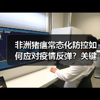 非洲猪瘟常态化防控如何应对疫情反弹?关键措施解析(图2) 非洲猪瘟常态化防控如何应对疫情反弹?关键措施解析(图2)