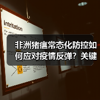 非洲猪瘟常态化防控如何应对疫情反弹?关键措施解析(图3) 非洲猪瘟常态化防控如何应对疫情反弹?关键措施解析(图3)