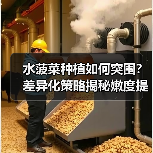 水菠菜种植如何突围?差异化策略揭秘嫩度提升秘诀(图2) 水菠菜种植如何突围?差异化策略揭秘嫩度提升秘诀(图2)