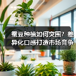 蚕豆种植如何突围?差异化口感打造市场竞争力(图1) 蚕豆种植如何突围?差异化口感打造市场竞争力(图1)