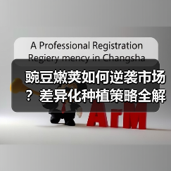 豌豆嫩荚如何逆袭市场？差异化种植策略全解析