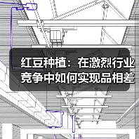 红豆种植:在激烈行业竞争中如何实现品相差异化(图3) 红豆种植:在激烈行业竞争中如何实现品相差异化(图3)