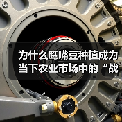 为什么鹰嘴豆种植成为当下农业市场中的“战场”？