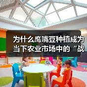 为什么鹰嘴豆种植成为当下农业市场中的“战场”?(图2) 为什么鹰嘴豆种植成为当下农业市场中的“战场”?(图2)