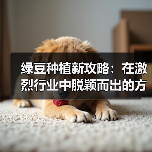 绿豆种植新攻略:在激烈行业中脱颖而出的方法(图2) 绿豆种植新攻略:在激烈行业中脱颖而出的方法(图2)