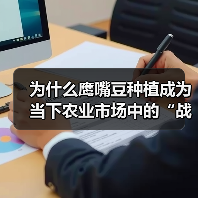 为什么鹰嘴豆种植成为当下农业市场中的“战场”?(图4) 为什么鹰嘴豆种植成为当下农业市场中的“战场”?(图4)
