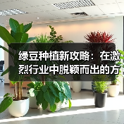 绿豆种植新攻略:在激烈行业中脱颖而出的方法(图3) 绿豆种植新攻略:在激烈行业中脱颖而出的方法(图3)