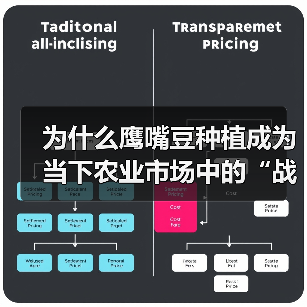 为什么鹰嘴豆种植成为当下农业市场中的“战场”?(图3) 为什么鹰嘴豆种植成为当下农业市场中的“战场”?(图3)