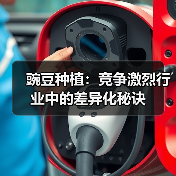 豌豆种植:竞争激烈行业中的差异化秘诀(图4) 豌豆种植:竞争激烈行业中的差异化秘诀(图4)