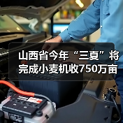 山西省今年“三夏”将完成小麦机收750万亩,机收率达到98%以上(图2) 山西省今年“三夏”将完成小麦机收750万亩,机收率达到98%以上(图2)