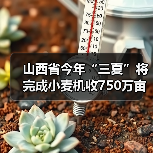山西省今年“三夏”将完成小麦机收750万亩,机收率达到98%以上(图1) 山西省今年“三夏”将完成小麦机收750万亩,机收率达到98%以上(图1)