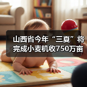山西省今年“三夏”将完成小麦机收750万亩,机收率达到98%以上(图3) 山西省今年“三夏”将完成小麦机收750万亩,机收率达到98%以上(图3)
