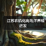 江苏农机化向海洋养殖进发(图3) 江苏农机化向海洋养殖进发(图3)