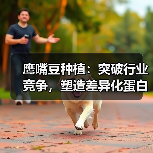 鹰嘴豆种植：突破行业竞争，塑造差异化蛋白影响力