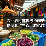 农业农村部积极协调支持湖北“三夏”农机作业(图4) 农业农村部积极协调支持湖北“三夏”农机作业(图4)