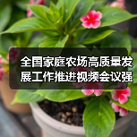 全国家庭农场高质量发展工作推进视频会议强调 加快把符合条件的规模农业经营户纳入家庭农场范围 推动家庭农场数量质量双提升(图2) 全国家庭农场高质量发展工作推进视频会议强调 加快把符合条件的规模农业经营户纳入家庭农场范围 推动家庭农场数量质量双提升(图2)
