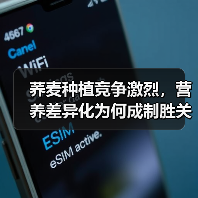 荞麦种植竞争激烈，营养差异化为何成制胜关键？