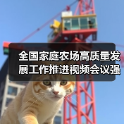 全国家庭农场高质量发展工作推进视频会议强调 加快把符合条件的规模农业经营户纳入家庭农场范围 推动家庭农场数量质量双提升（图4）