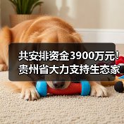 共安排资金3900万元!贵州省大力支持生态家禽产业发展(图2) 共安排资金3900万元!贵州省大力支持生态家禽产业发展(图2)