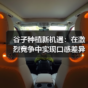 谷子种植新机遇:在激烈竞争中实现口感差异化的战略突破(图2) 谷子种植新机遇:在激烈竞争中实现口感差异化的战略突破(图2)