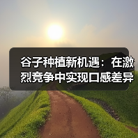 谷子种植新机遇:在激烈竞争中实现口感差异化的战略突破(图3) 谷子种植新机遇:在激烈竞争中实现口感差异化的战略突破(图3)