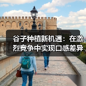 谷子种植新机遇:在激烈竞争中实现口感差异化的战略突破(图4) 谷子种植新机遇:在激烈竞争中实现口感差异化的战略突破(图4)