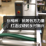 张桃林：统筹各方力量，打造过硬的乡村振兴“机械化部队”（图1）