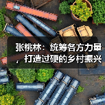 张桃林:统筹各方力量,打造过硬的乡村振兴“机械化部队”(图2) 张桃林:统筹各方力量,打造过硬的乡村振兴“机械化部队”(图2)