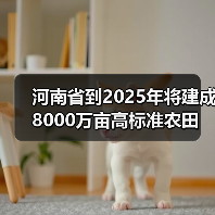 河南省到2025年将建成8000万亩高标准农田（图1）