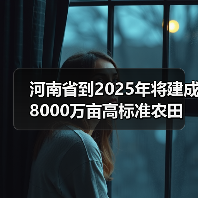 河南省到2025年将建成8000万亩高标准农田(图4) 河南省到2025年将建成8000万亩高标准农田(图4)