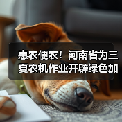 惠农便农！河南省为三夏农机作业开辟绿色加油通道（图1）