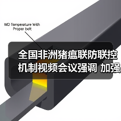全国非洲猪瘟联防联控机制视频会议强调 加强常态化防控措施 专项打击违法违规调运行为 坚决防止非洲猪瘟疫情反弹(图4) 全国非洲猪瘟联防联控机制视频会议强调 加强常态化防控措施 专项打击违法违规调运行为 坚决防止非洲猪瘟疫情反弹(图4)