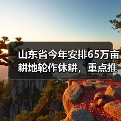 山东省今年安排65万亩耕地轮作休耕,重点推行玉米大豆种植(图2) 山东省今年安排65万亩耕地轮作休耕,重点推行玉米大豆种植(图2)