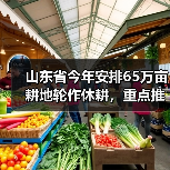 山东省今年安排65万亩耕地轮作休耕,重点推行玉米大豆种植(图1) 山东省今年安排65万亩耕地轮作休耕,重点推行玉米大豆种植(图1)