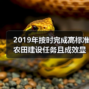 2019年按时完成高标准农田建设任务且成效显著的5省获国务院办公厅督查激励(图2) 2019年按时完成高标准农田建设任务且成效显著的5省获国务院办公厅督查激励(图2)