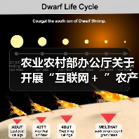 农业农村部办公厅关于开展“互联网+ ”农产品出村进城工程试点工作的通知(图1) 农业农村部办公厅关于开展“互联网+ ”农产品出村进城工程试点工作的通知(图1)
