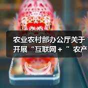 农业农村部办公厅关于开展“互联网+ ”农产品出村进城工程试点工作的通知(图2) 农业农村部办公厅关于开展“互联网+ ”农产品出村进城工程试点工作的通知(图2)