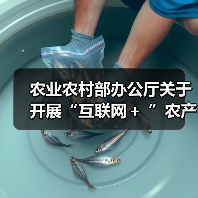 农业农村部办公厅关于开展“互联网+ ”农产品出村进城工程试点工作的通知(图4) 农业农村部办公厅关于开展“互联网+ ”农产品出村进城工程试点工作的通知(图4)
