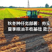 秋冬种任务部署:夯实夏季粮油丰收基础 助力“十四五”开局(图3) 秋冬种任务部署:夯实夏季粮油丰收基础 助力“十四五”开局(图3)