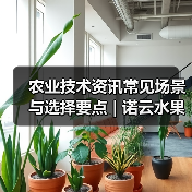 农业技术资讯常见场景与选择要点 | 诺云水果技术网(图3) 农业技术资讯常见场景与选择要点 | 诺云水果技术网(图3)