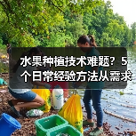 水果种植技术难题?5个日常经验方法从需求判断到维护(图3) 水果种植技术难题?5个日常经验方法从需求判断到维护(图3)