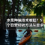 水果种植技术难题?5个日常经验方法从需求判断到维护(图4) 水果种植技术难题?5个日常经验方法从需求判断到维护(图4)