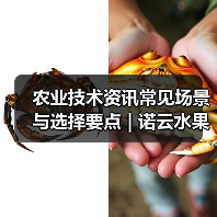 农业技术资讯常见场景与选择要点 | 诺云水果技术网(图4) 农业技术资讯常见场景与选择要点 | 诺云水果技术网(图4)